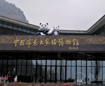 博物馆设计师在项目中占据沉要角色，设计中最该把稳什么？