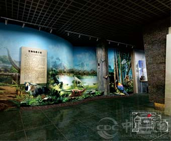 博物馆设计施工企业应该具备什么资质，客户该若何选择？