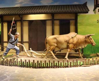 农耕博物馆设计，中原农耕文化博物馆是怎么策动的？