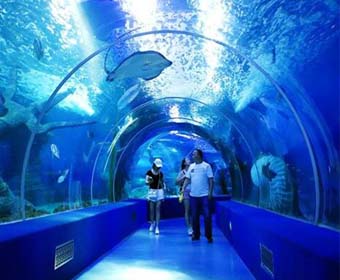 海洋科普履历展馆设计，哪些海洋馆值得去？
